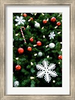 Framed Christmas decorations on tree