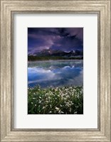 Framed Alberta, Banff National Park Lake Maligne wildflowers