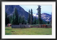 Framed Log Cabin, Horse and Corral, Banff National Park, Alberta, Canada