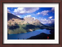 Framed Hiker Overlooking Peyto Lake, Banff National Park, Alberta, Canada