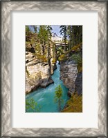 Framed Athabasca Falls, Jasper National Park, Alberta, Canada