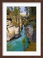 Framed Athabasca Falls, Jasper National Park, Alberta, Canada