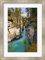 Framed Athabasca Falls, Jasper National Park, Alberta, Canada