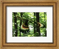 Framed Archaeopteryx flying through a forest