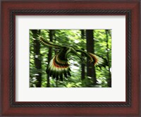 Framed Archaeopteryx flying through a forest