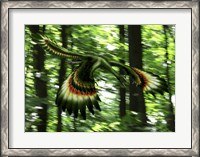 Framed Archaeopteryx flying through a forest