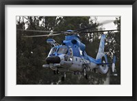 Framed AS-565 Atalef of the Israeli Air Force