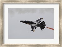 Framed T-50 Golden Eagle from the Republic of Korea Air Force Aerobatic Team