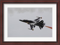 Framed T-50 Golden Eagle from the Republic of Korea Air Force Aerobatic Team