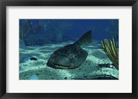 Framed Drepanaspis on the bottom of a shallow Devonian sea