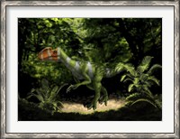 Framed Kileskus aristotocus of the Middle Jurassic Period