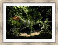 Framed Kileskus aristotocus of the Middle Jurassic Period