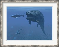 Framed prehistoric Dunkleosteus fish prepares to eat a primitive shark