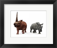 Framed adult Elasmotherium compared to a modern adult White Rhinoceros