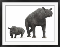 Framed adult Paraceratherium compared to a modern adult White Rhinoceros