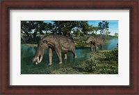 Framed pair of Platybelodon grazing in a shallow stream