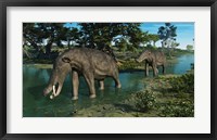 Framed pair of Platybelodon grazing in a shallow stream