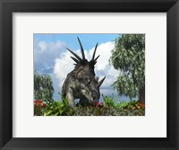 Framed Styracosaurus samples flowers of the order Ericales