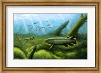 Framed Holoptychius, Tulerpeton and Moythomasia, prehistoric fish of the Devonian period