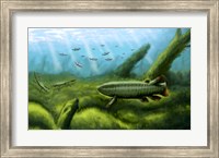 Framed Holoptychius, Tulerpeton and Moythomasia, prehistoric fish of the Devonian period