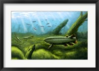 Framed Holoptychius, Tulerpeton and Moythomasia, prehistoric fish of the Devonian period