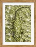 Framed Lanthanosuchus, an extinct genus of parareptile