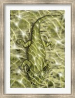 Framed Lanthanosuchus, an extinct genus of parareptile