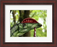 Framed Dilophosaurus wetherilli with a piece of flesh hanging out of its mouth