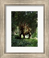 Framed Styracosaurus in a forest