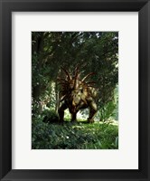 Framed Styracosaurus in a forest