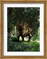 Framed Styracosaurus in a forest