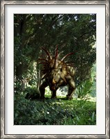 Framed Styracosaurus in a forest