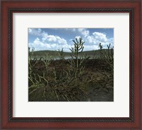 Framed Prehistoric landscape of Silu-Devonian land plants with branching axes