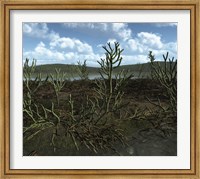 Framed Prehistoric landscape of Silu-Devonian land plants with branching axes
