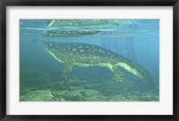 Framed Late Devonian Period Ichthyostega submerged in a floodplain