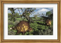 Framed Prehistoric glyptodonts graze on grassy plains An Eremotherium is in the background