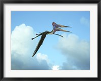 Framed Zhejiangopterus, a genus of azhdarchid pterosaur