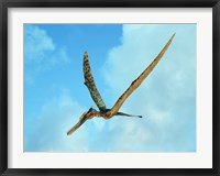 Framed Zhenyuanopterus, a genus of pterosaur from the Cretaceous Period