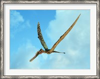 Framed Zhenyuanopterus, a genus of pterosaur from the Cretaceous Period