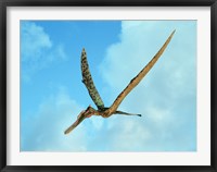 Zhenyuanopterus, a genus of pterosaur from the Cretaceous Period Framed Print