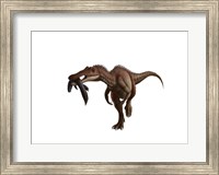 Framed Baryonyx dinosaur with a fish in mouth, white background
