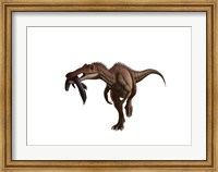 Framed Baryonyx dinosaur with a fish in mouth, white background