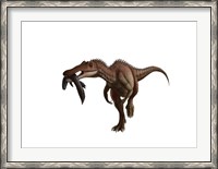 Framed Baryonyx dinosaur with a fish in mouth, white background