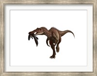 Framed Baryonyx dinosaur with a fish in mouth, white background