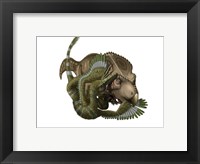 Framed Velociraptor attacks a Protoceratops