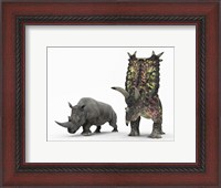Framed adult Pentaceratops compared to a modern adult White Rhinoceros