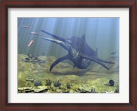 Framed massive Shonisaurus attempts to make a meal of a school of squid-like Belemnites