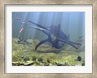 Framed massive Shonisaurus attempts to make a meal of a school of squid-like Belemnites