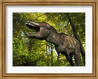 Framed Tyrannosaurus wanders a Cretaceous forest