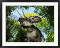 Framed Zuniceratops wanders a Cretaceous forest